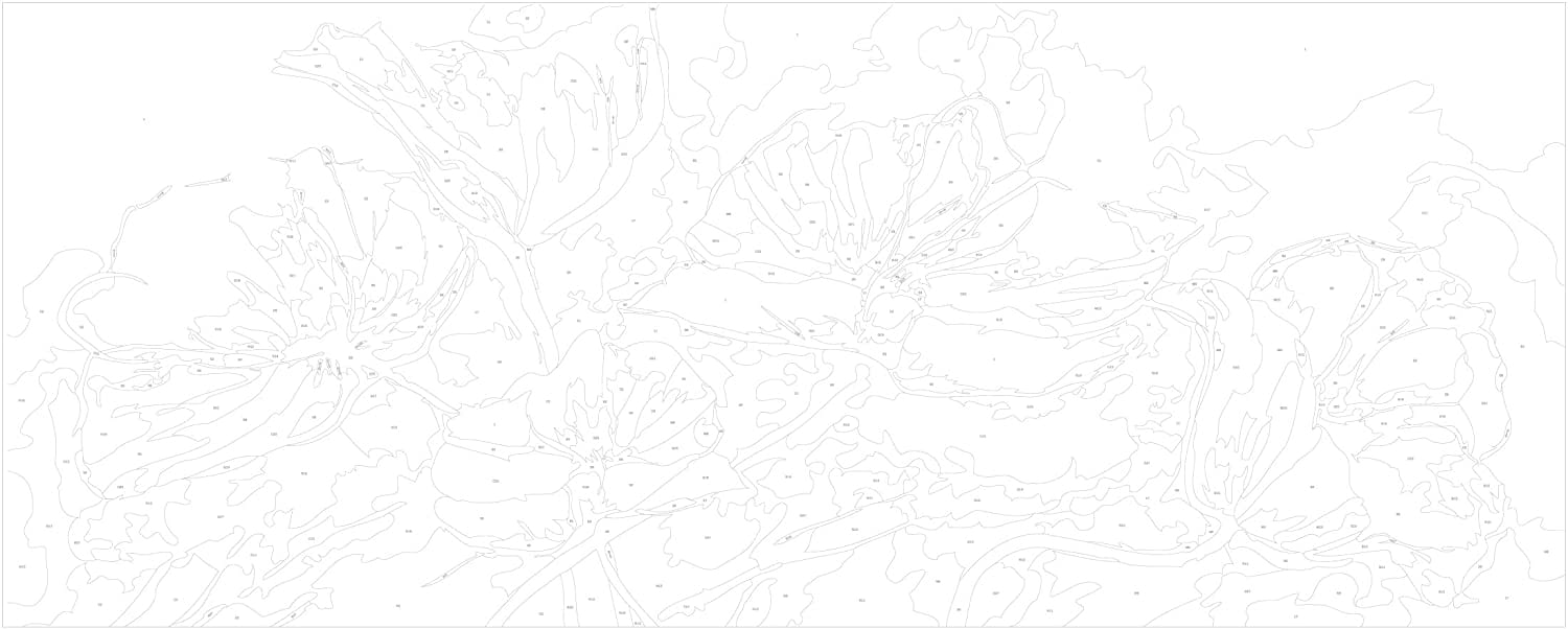 Glezna izkrāso pēc cipariem - Flowers - Delicate Poppies 100x40 cm Artgeist