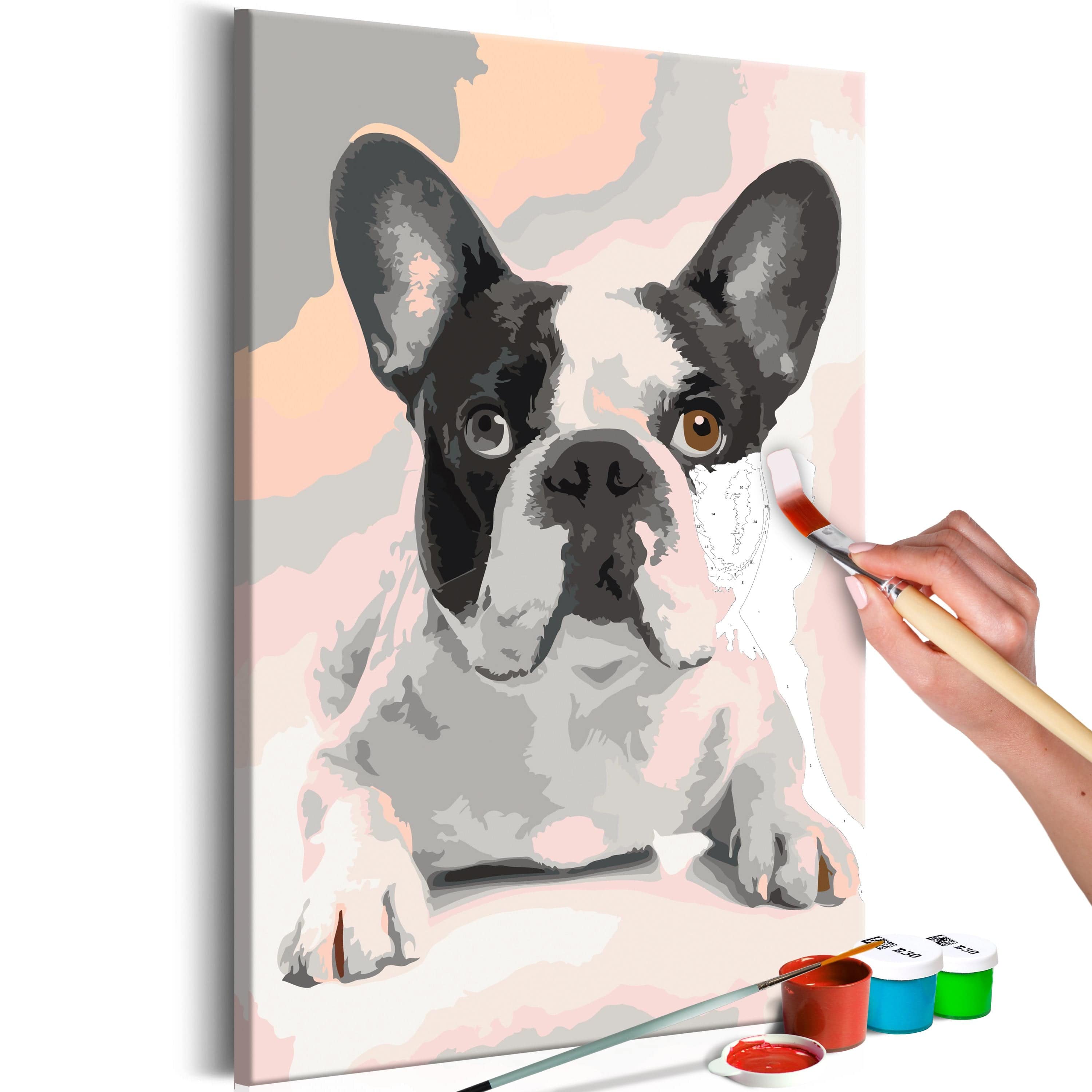 Glezna izkrāso pēc cipariem - French Bulldog 40x60 cm Artgeist
