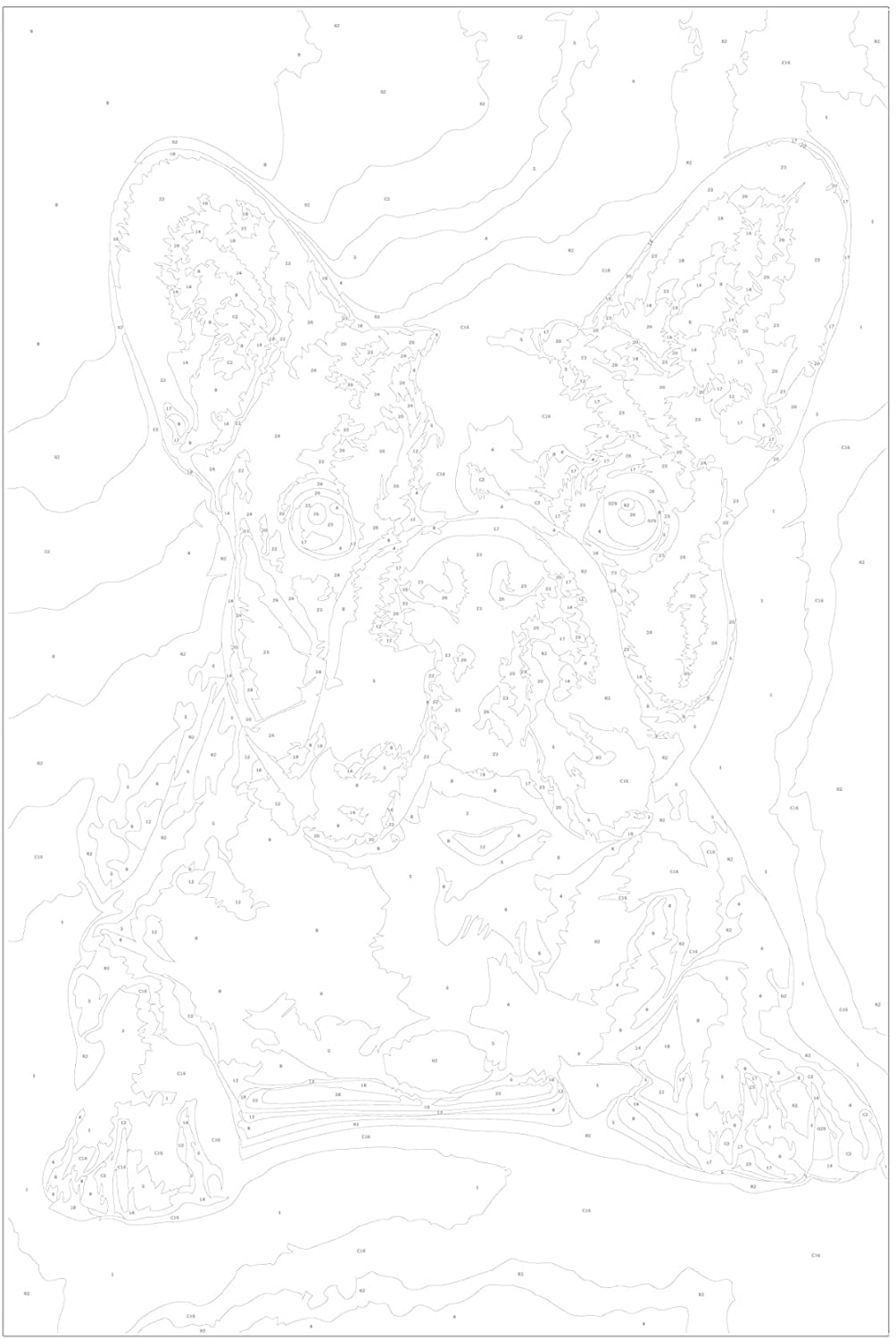 Glezna izkrāso pēc cipariem - French Bulldog 40x60 cm Artgeist