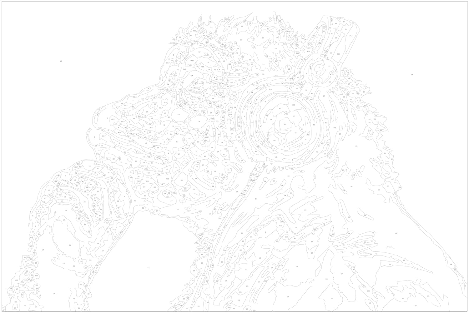 Glezna izkrāso pēc cipariem - Musical Monkey 60x40 cm Artgeist