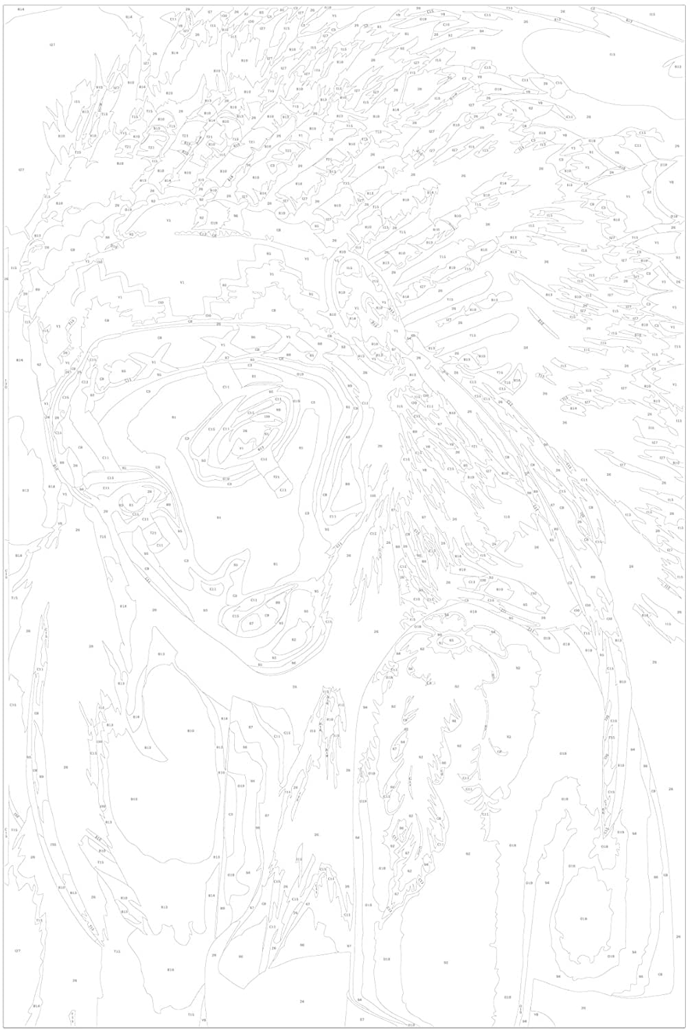 Glezna izkrāso pēc cipariem - Native American Girl 40x60 cm Artgeist