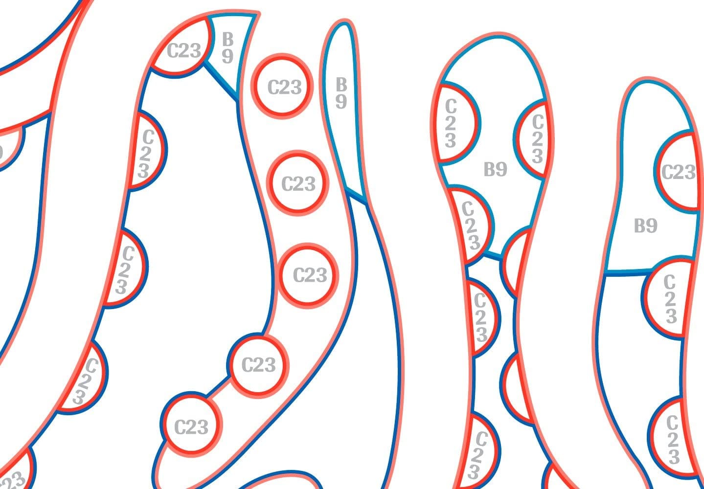 Glezna izkrāso pēc cipariem - Ocean Animals 33x23 cm Artgeist