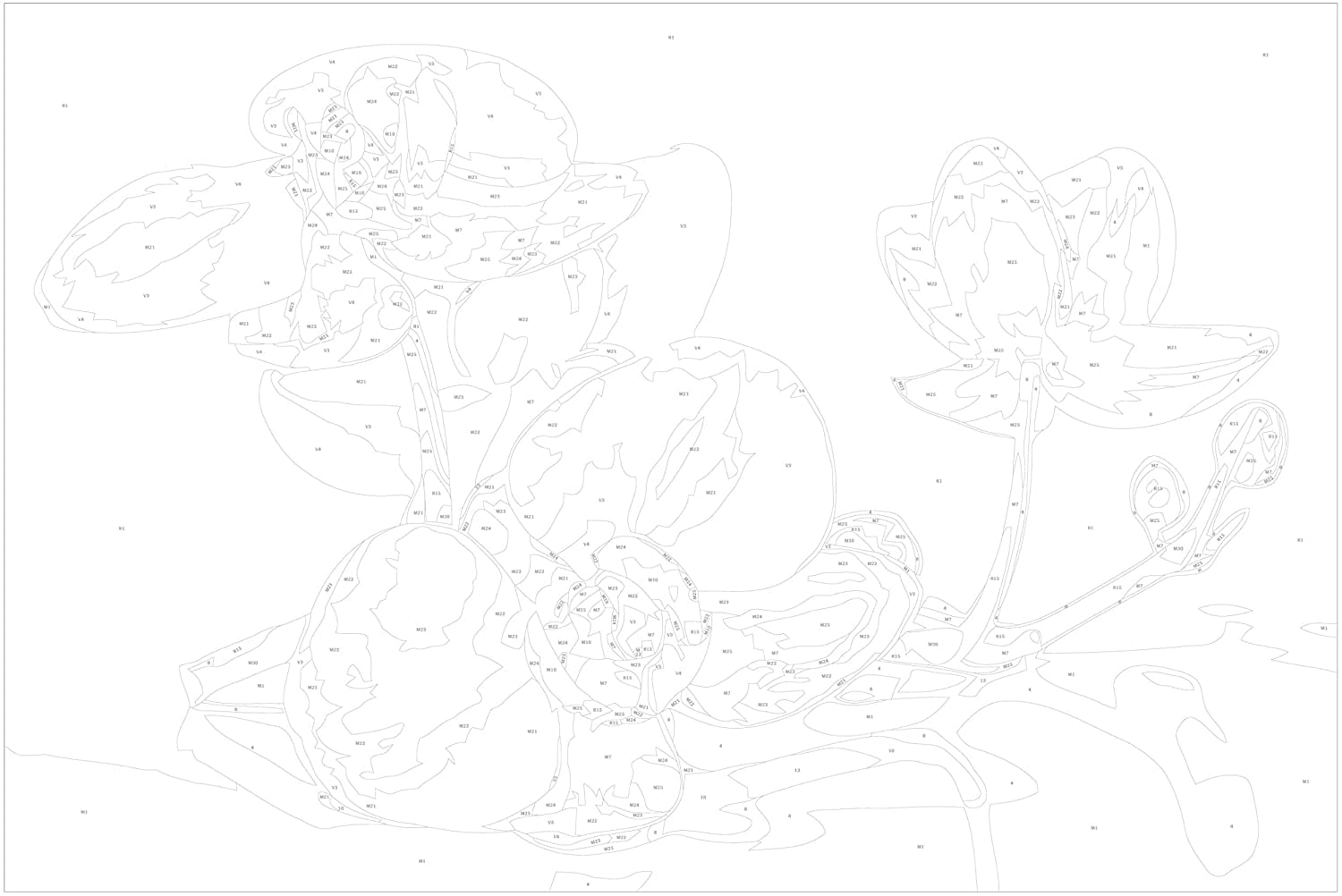 Glezna izkrāso pēc cipariem - Orchid Flowers 60x40 cm Artgeist