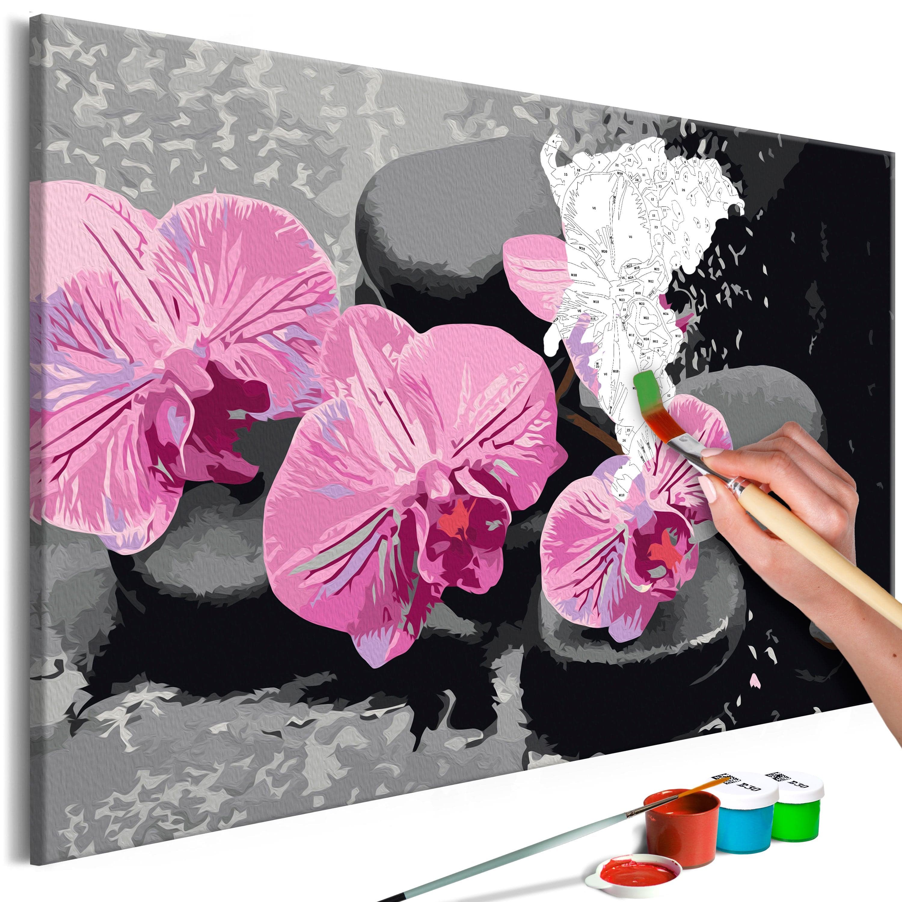 Glezna izkrāso pēc cipariem - Orchid With Zen Stones 60x40 cm Artgeist