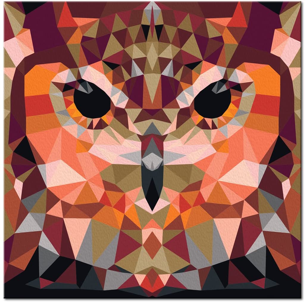 Glezna izkrāso pēc cipariem - Owl (Geometrical) 40x40 cm Artgeist