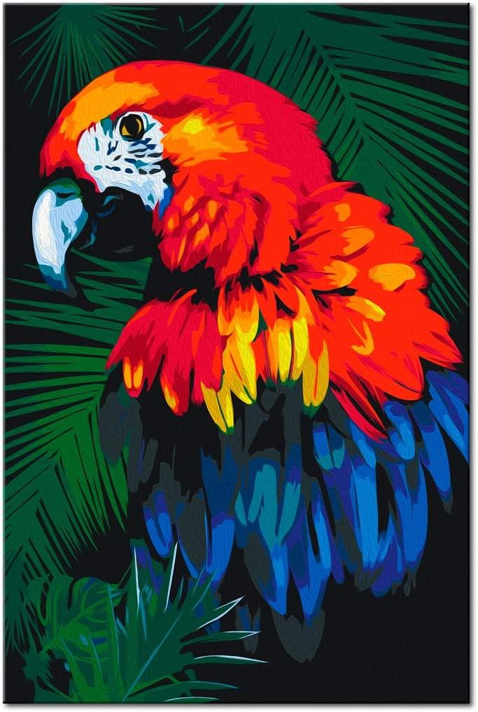 Glezna izkrāso pēc cipariem - Parrot 40x60 cm Artgeist