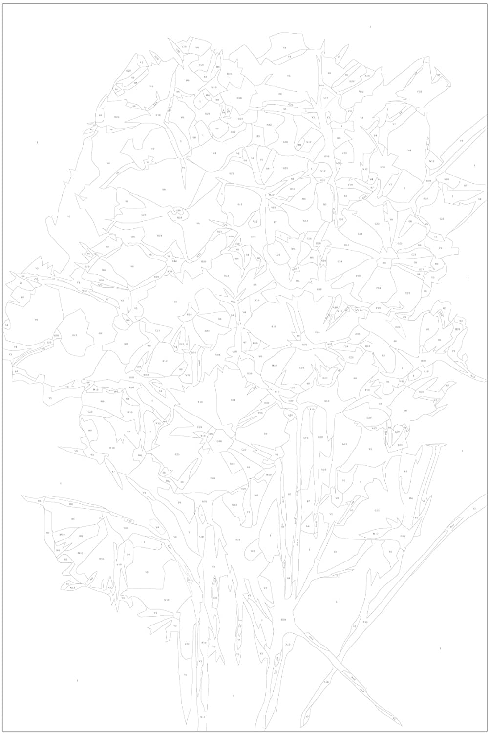 Glezna izkrāso pēc cipariem - Summer Flowers 40x60 cm Artgeist