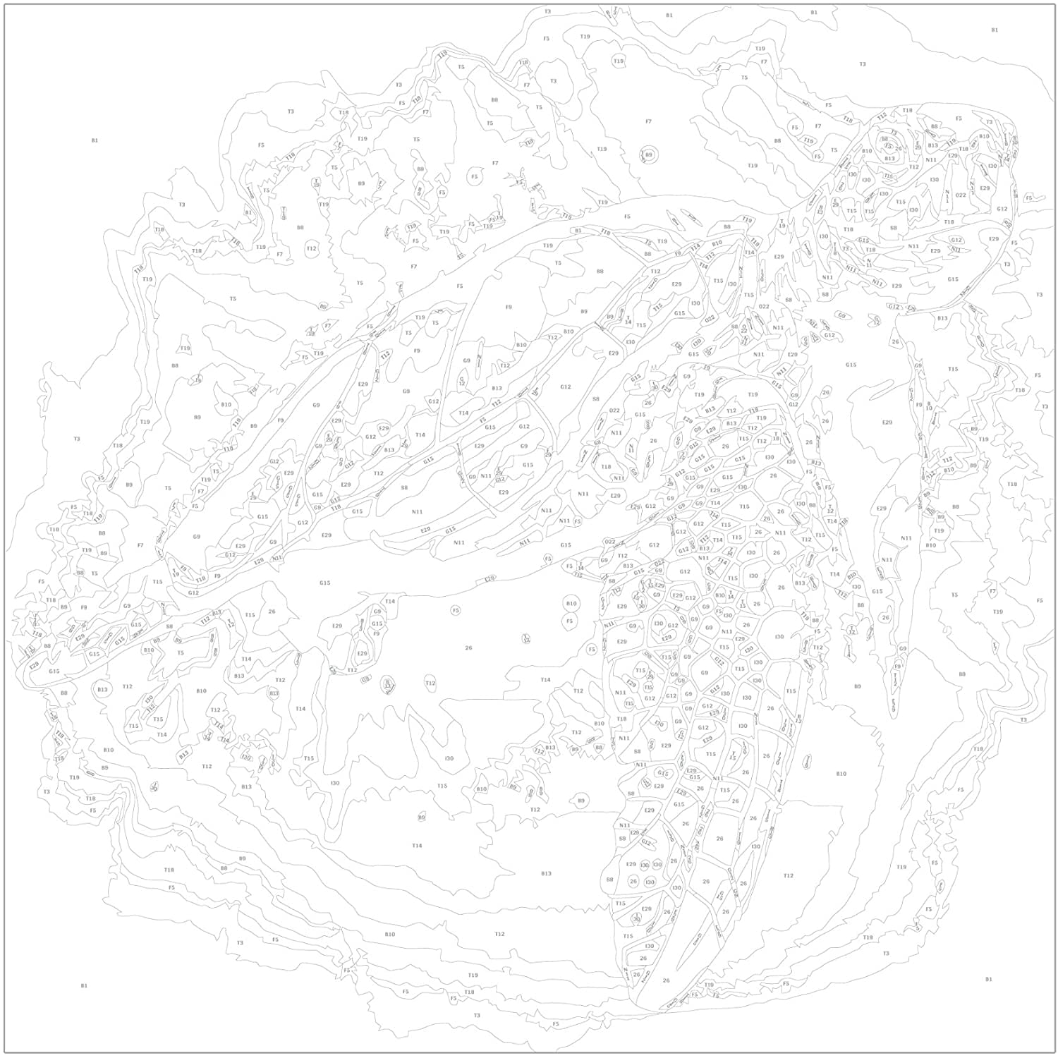 Glezna izkrāso pēc cipariem - Turtle 40x40 cm Artgeist