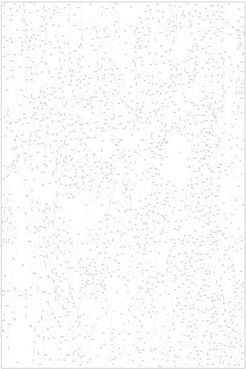 Glezna izkrāso pēc cipariem - Venice (Gondolas) 40x60 cm Artgeist