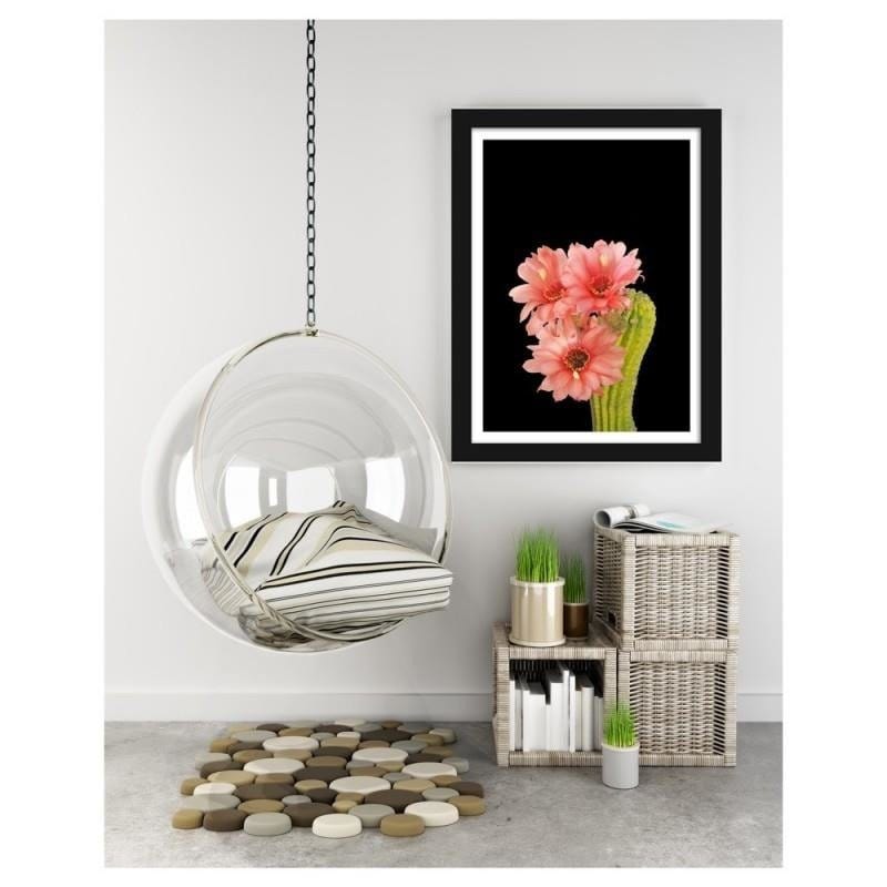 Glezna melnā rāmī - A cactus with red flowers Home Trends