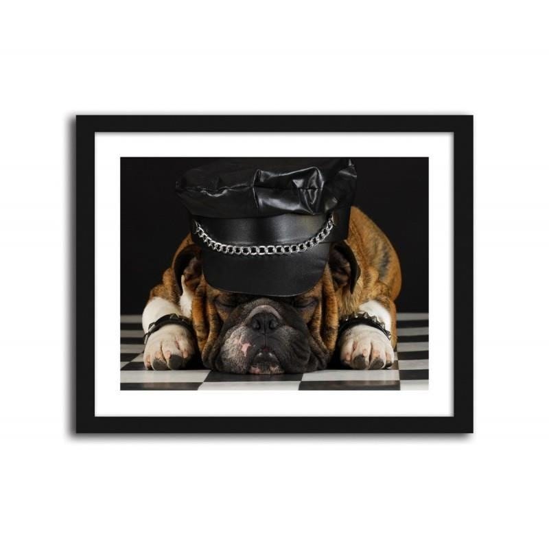 Glezna melnā rāmī - A dog in a hat. Home Trends