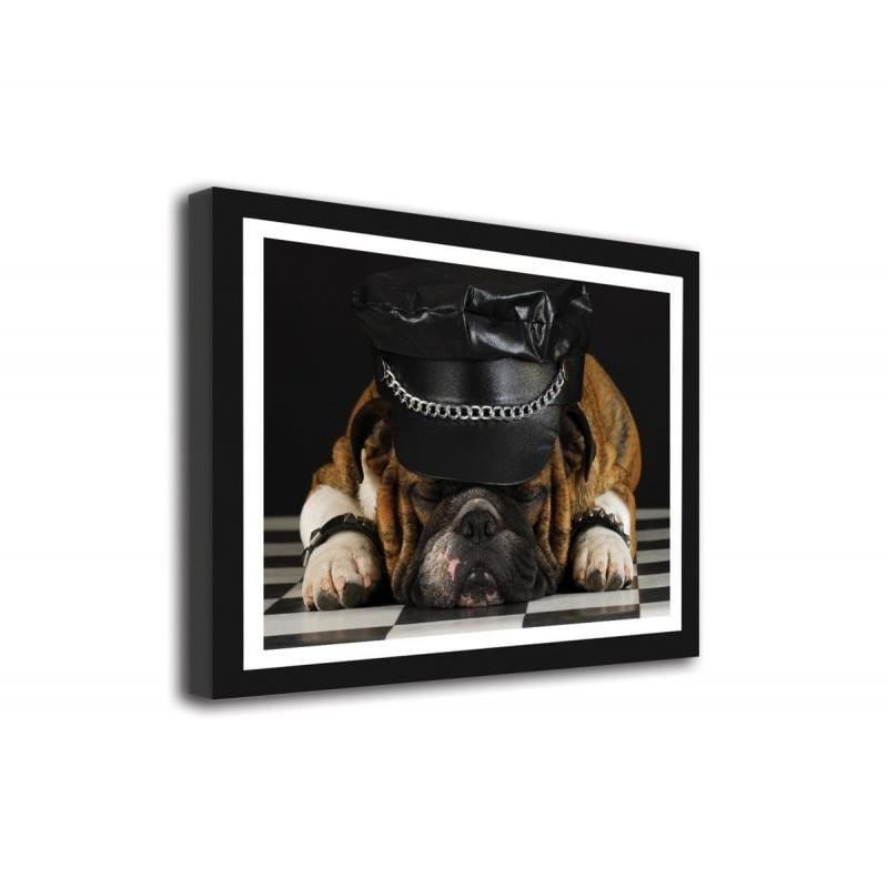 Glezna melnā rāmī - A dog in a hat. Home Trends