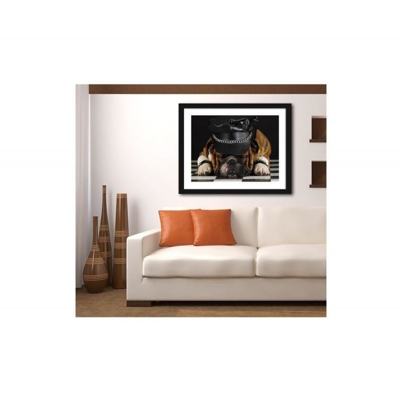 Glezna melnā rāmī - A dog in a hat. Home Trends