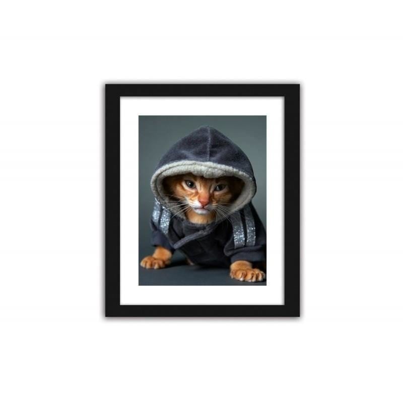 Glezna melnā rāmī - A kitten in a hooded cat Home Trends