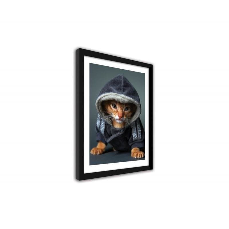 Glezna melnā rāmī - A kitten in a hooded cat Home Trends