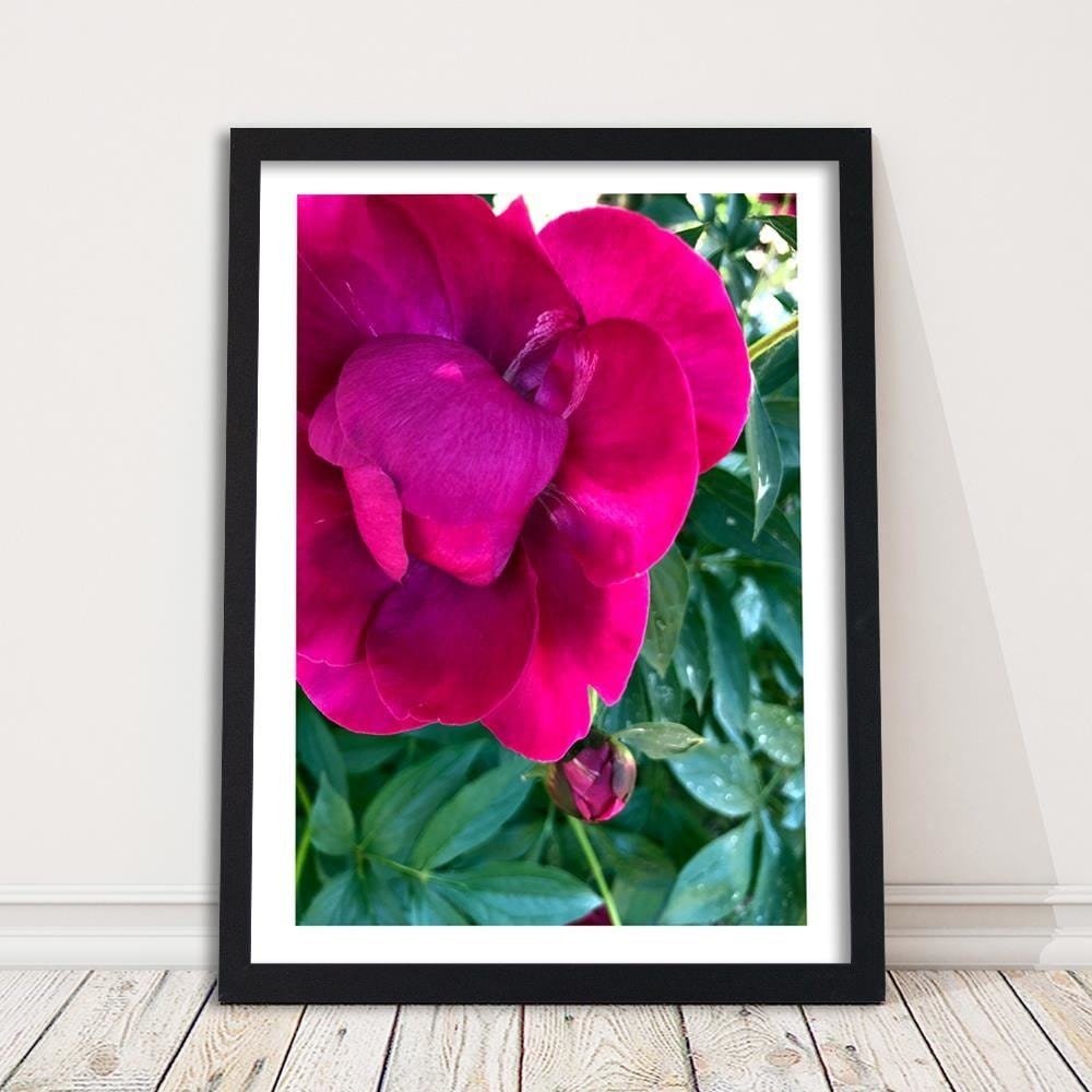 Glezna melnā rāmī - A Large Pink Flower Home Trends