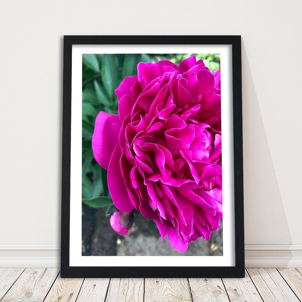 Glezna melnā rāmī - A Large Pink Flower Home Trends