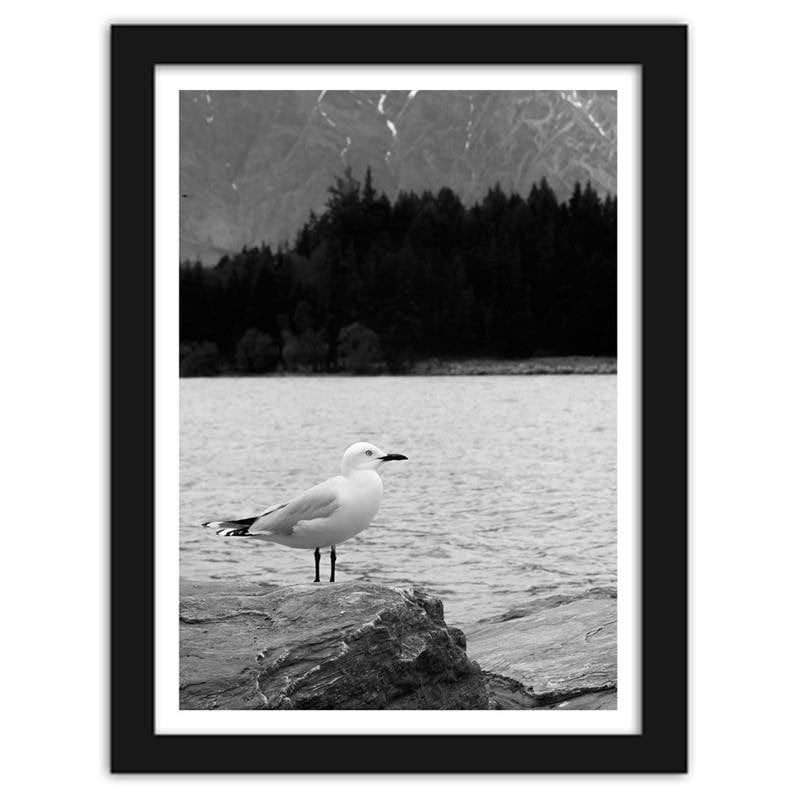Glezna melnā rāmī - A seagull on a rock Home Trends