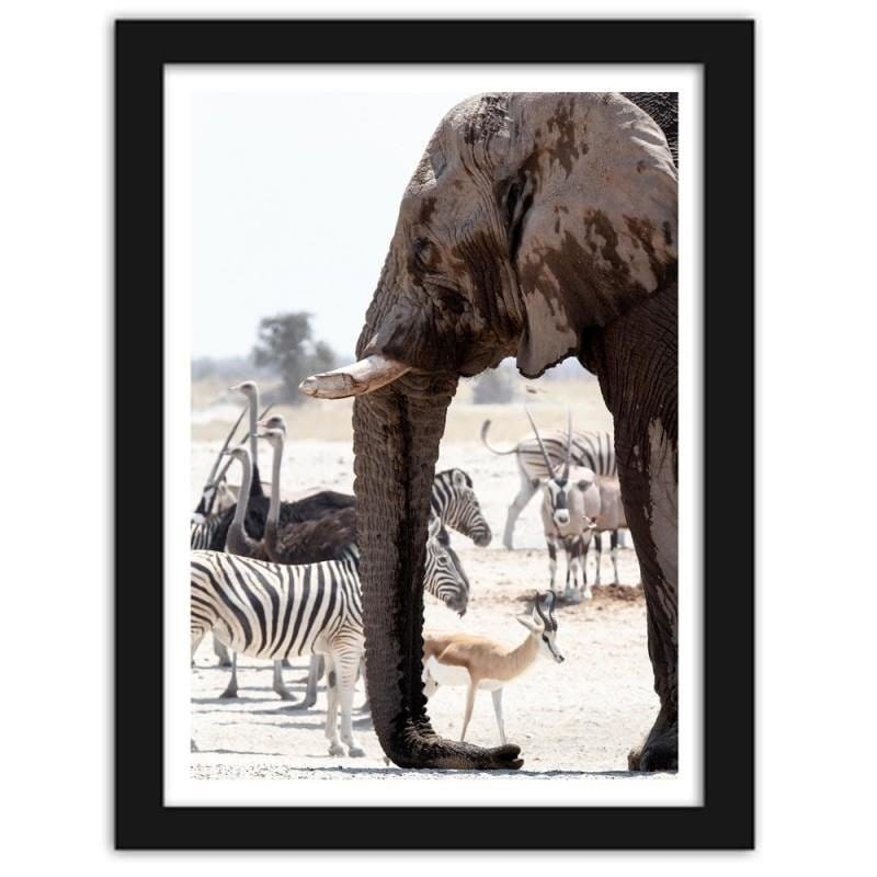 Glezna melnā rāmī - African elephant Home Trends
