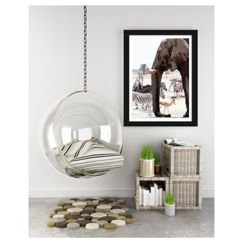 Glezna melnā rāmī - African elephant Home Trends