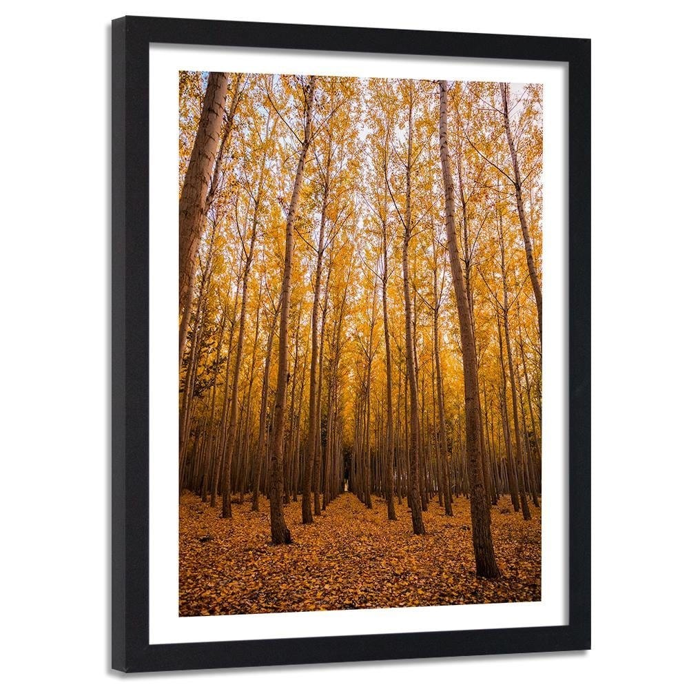 Glezna melnā rāmī - And Birch Leaves Home Trends