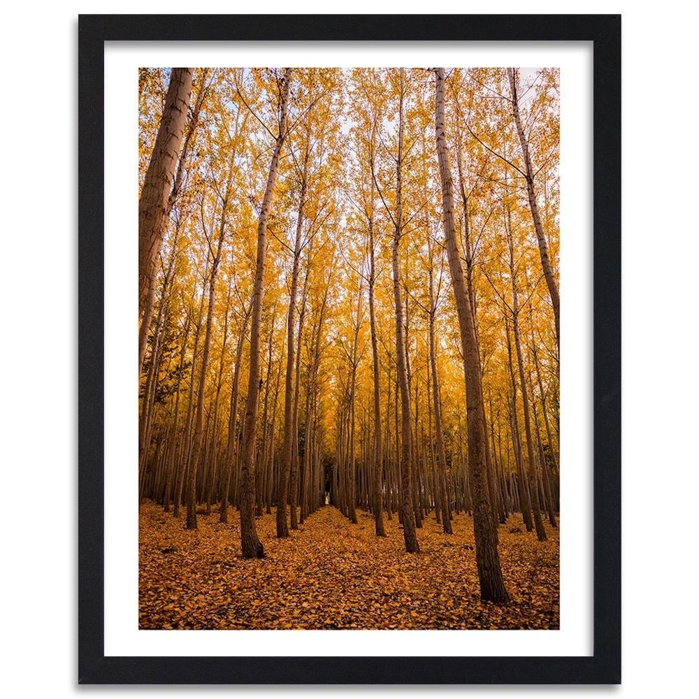 Glezna melnā rāmī - And Birch Leaves Home Trends
