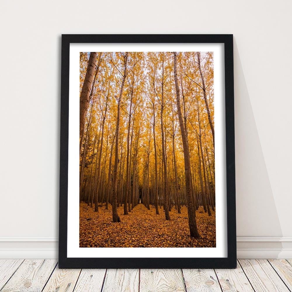 Glezna melnā rāmī - And Birch Leaves Home Trends