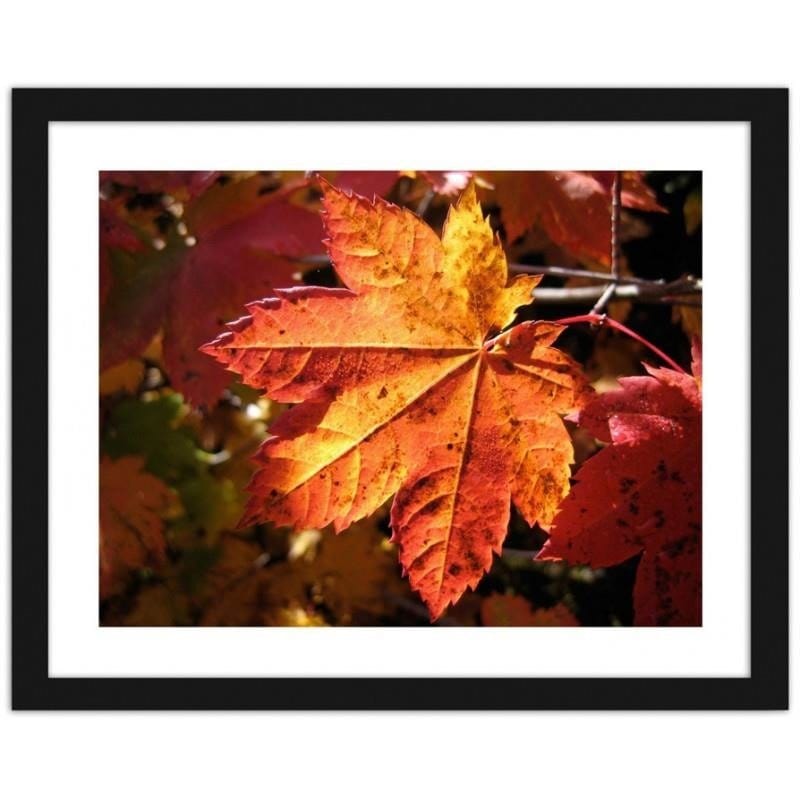 Glezna melnā rāmī - Autumn leaf Home Trends