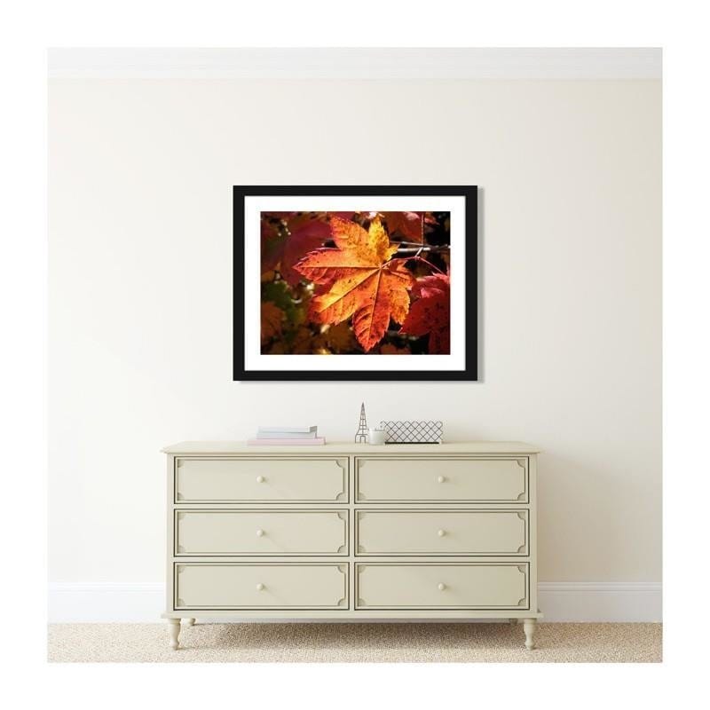 Glezna melnā rāmī - Autumn leaf Home Trends