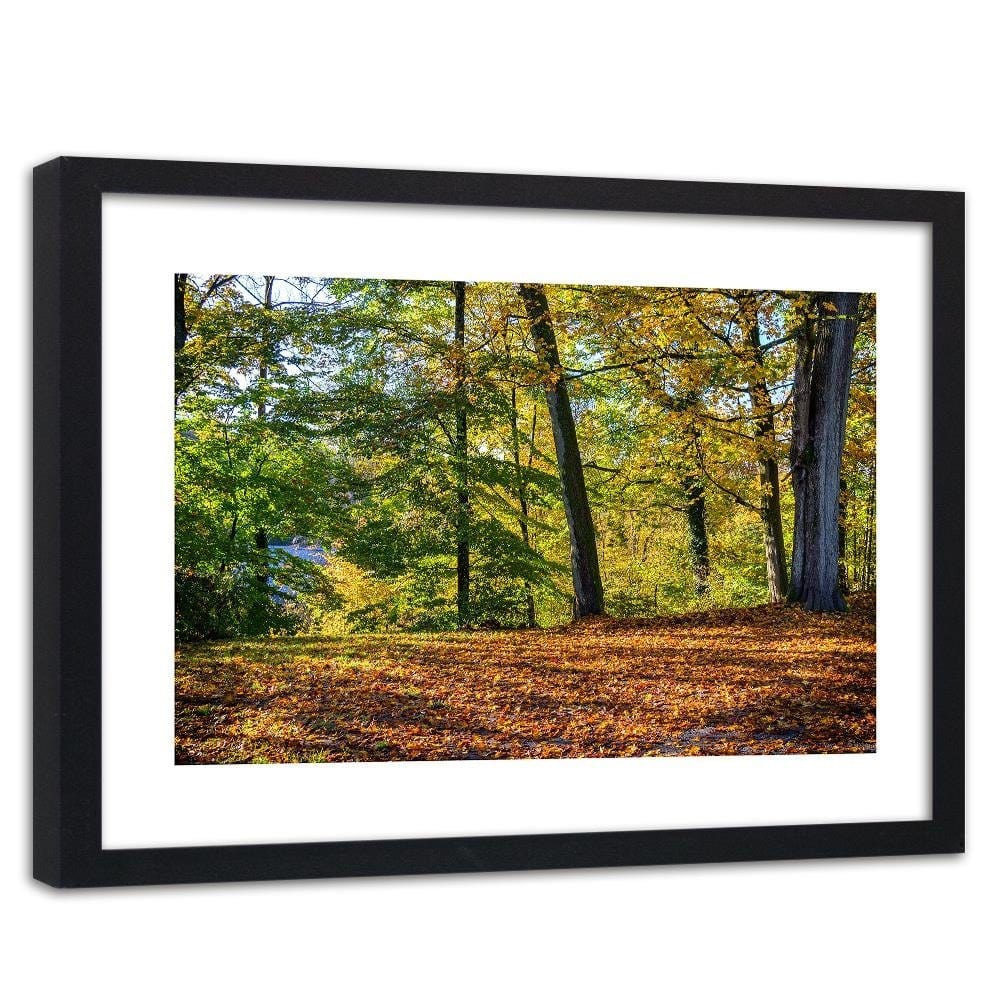 Glezna melnā rāmī - Autumn Leaves In The Park Home Trends