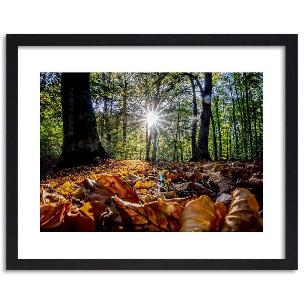 Glezna melnā rāmī - Autumn Leaves In The Sun Home Trends