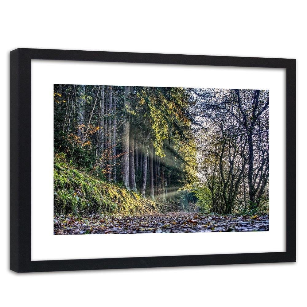 Glezna melnā rāmī - Autumn Leaves On The Road In The Forest Home Trends
