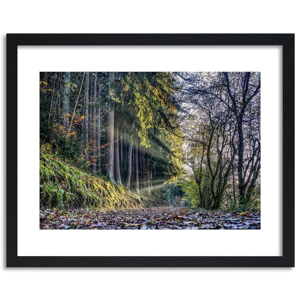 Glezna melnā rāmī - Autumn Leaves On The Road In The Forest Home Trends
