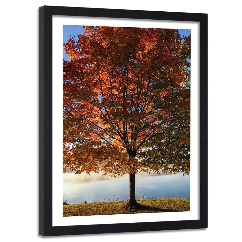 Glezna melnā rāmī - Autumn Tree Home Trends