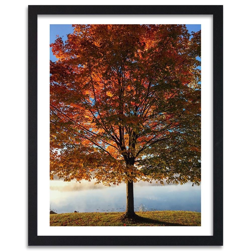 Glezna melnā rāmī - Autumn Tree Home Trends