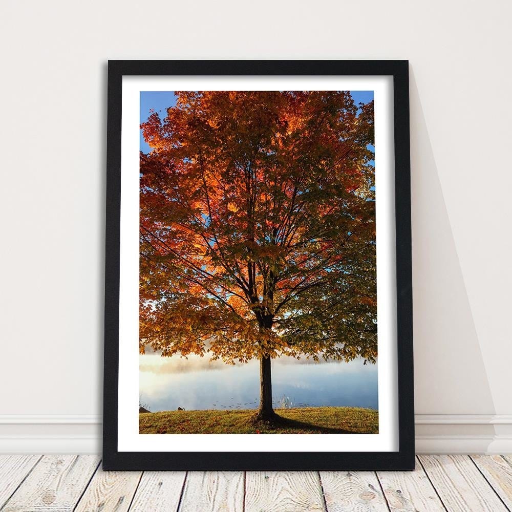 Glezna melnā rāmī - Autumn Tree Home Trends