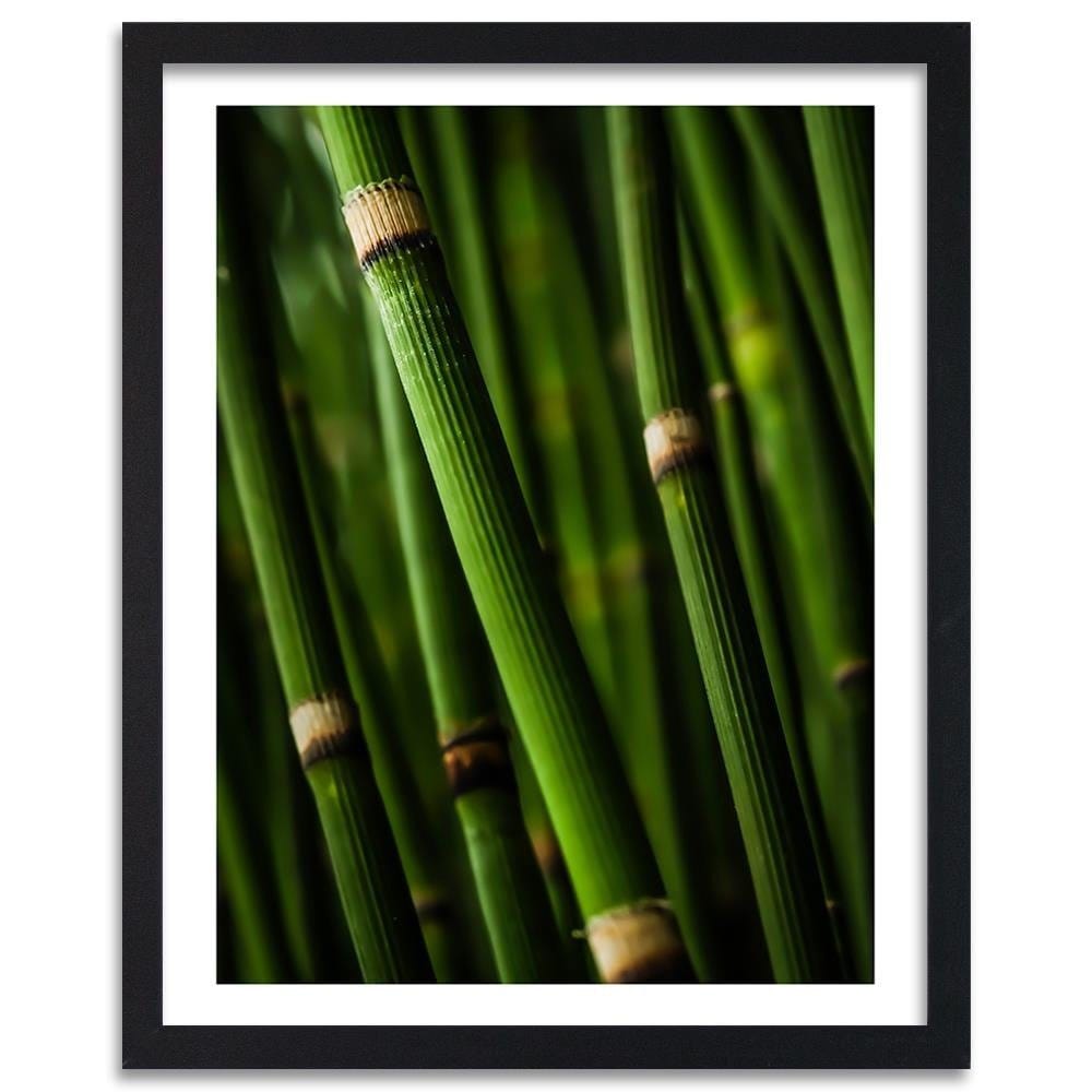 Glezna melnā rāmī - Bamboo Forest Home Trends