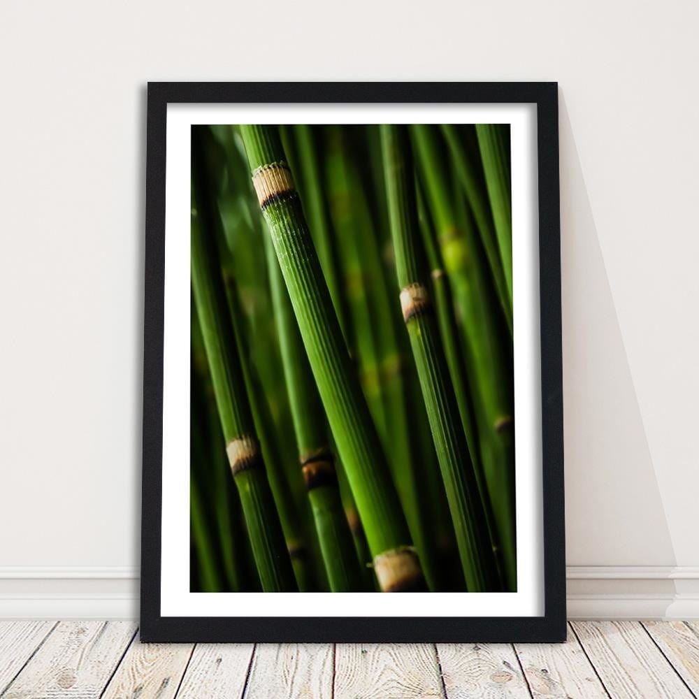 Glezna melnā rāmī - Bamboo Forest Home Trends