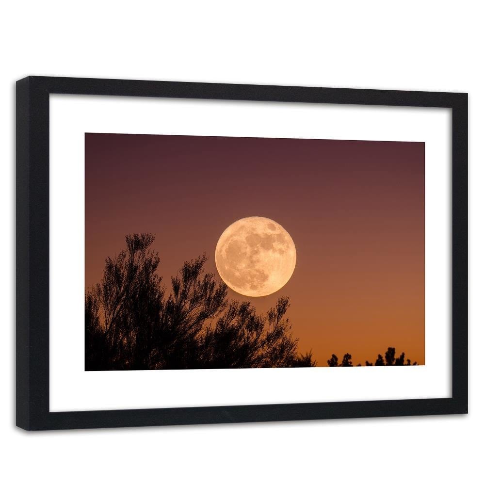 Glezna melnā rāmī - Big Moon Home Trends