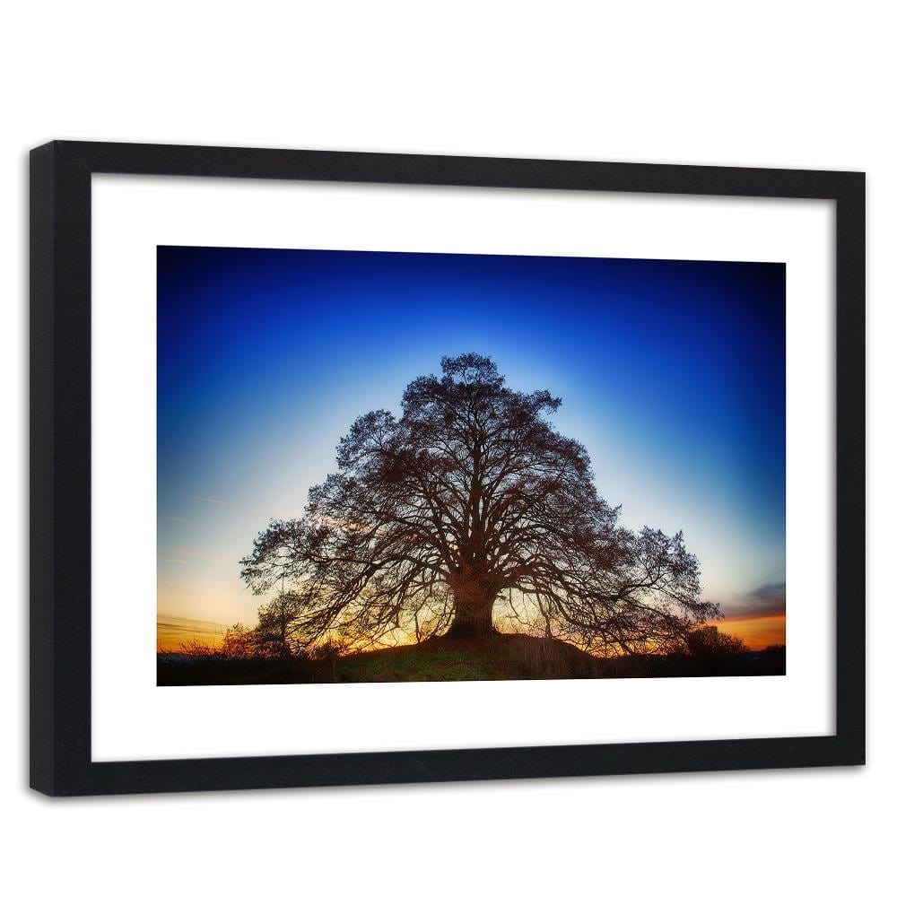 Glezna melnā rāmī - Big Tree At Dusk Home Trends