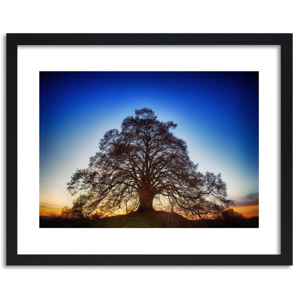 Glezna melnā rāmī - Big Tree At Dusk Home Trends