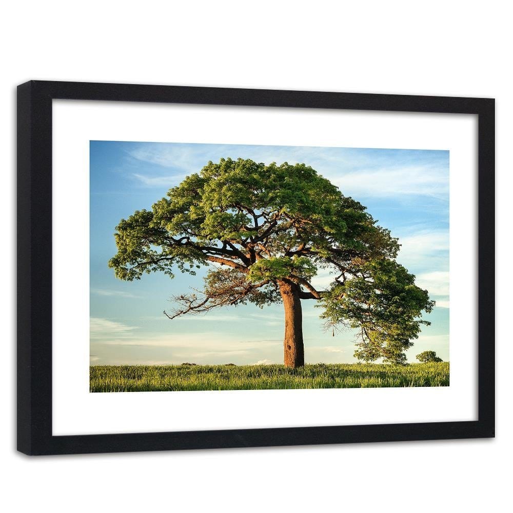Glezna melnā rāmī - Big Trees Home Trends