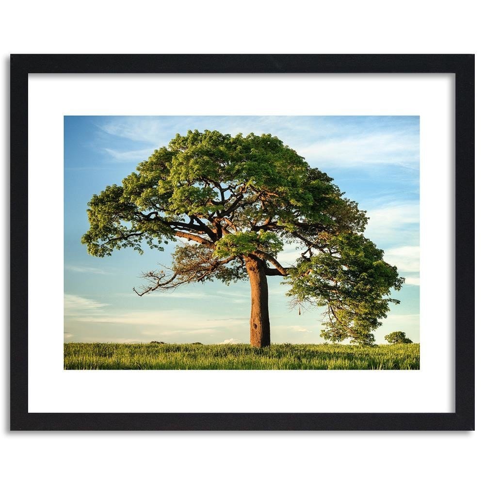 Glezna melnā rāmī - Big Trees Home Trends