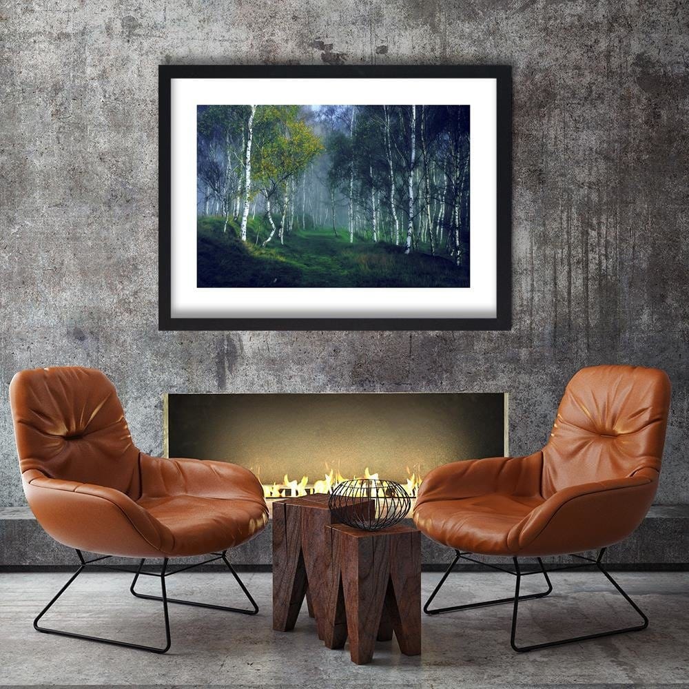 Glezna melnā rāmī - Birch In The Fog Home Trends