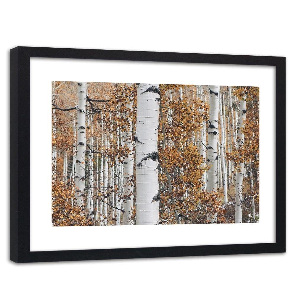 Glezna melnā rāmī - Birches Home Trends