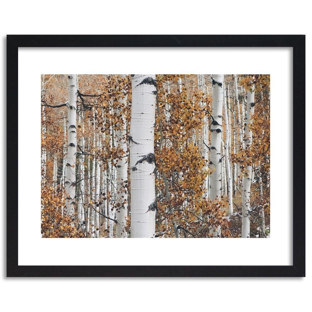 Glezna melnā rāmī - Birches Home Trends