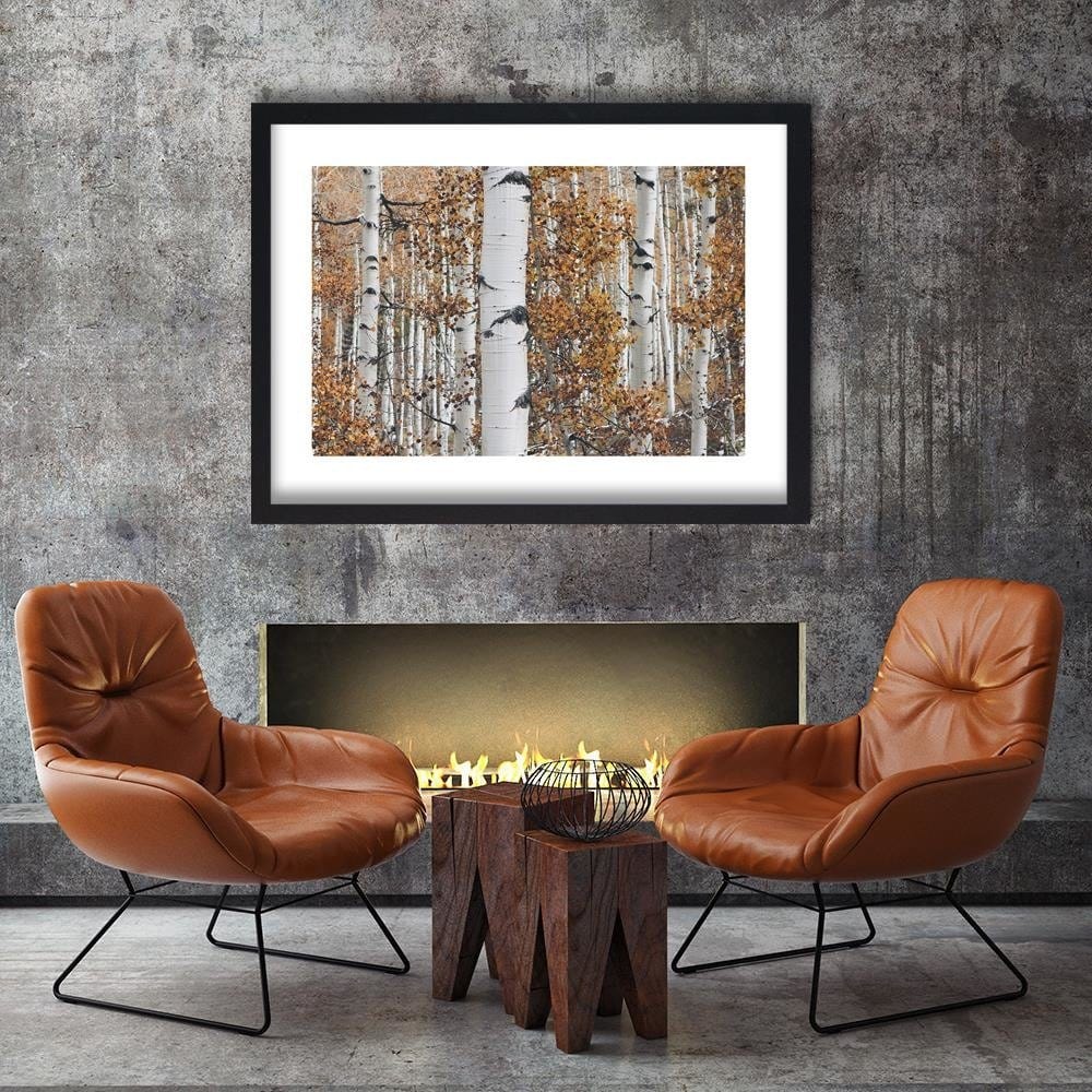 Glezna melnā rāmī - Birches Home Trends