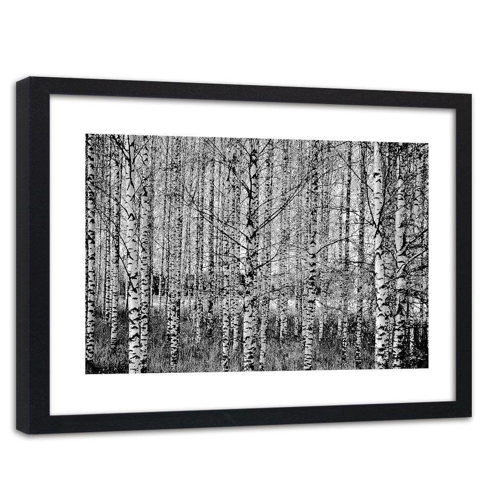 Glezna melnā rāmī - Black And White Birch Home Trends