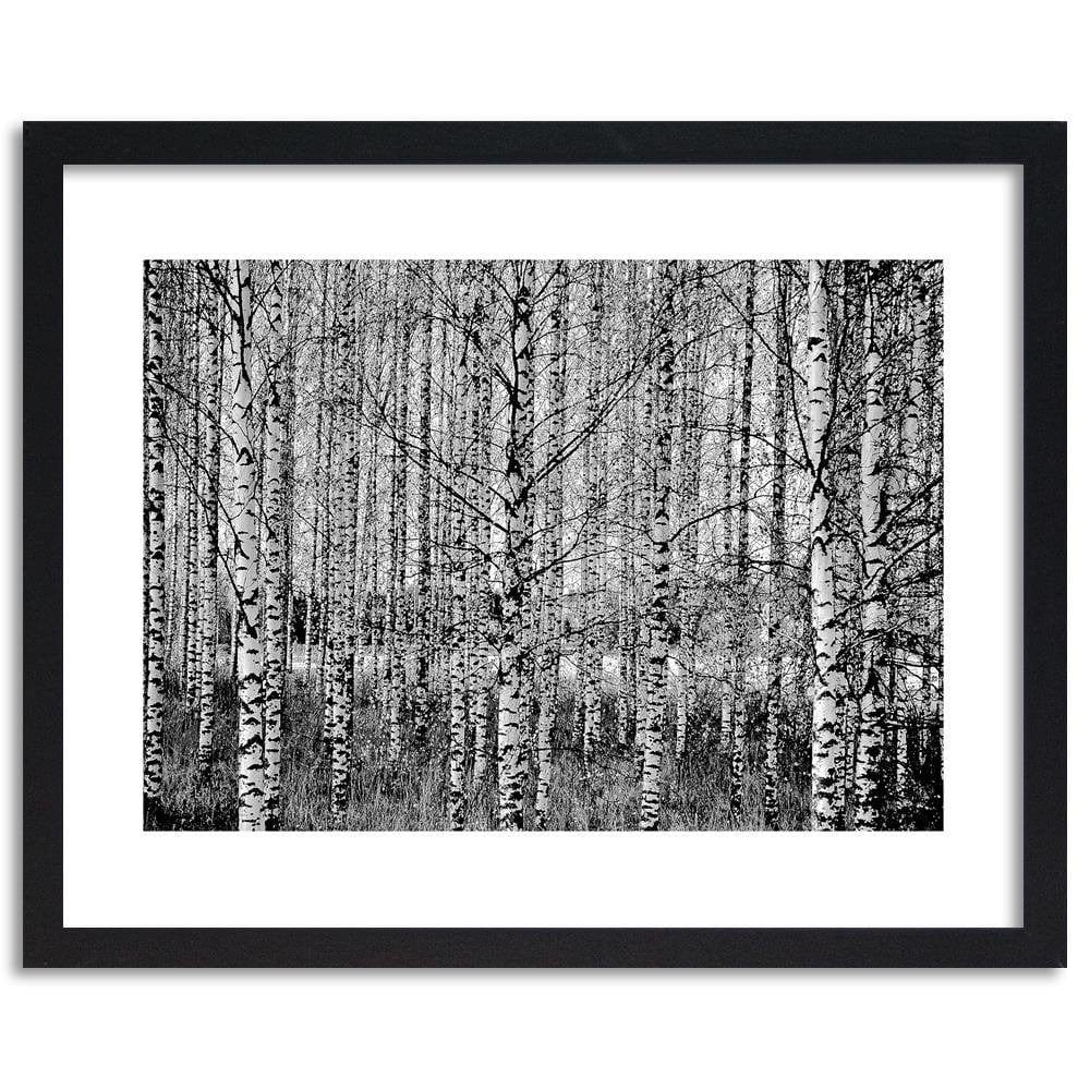Glezna melnā rāmī - Black And White Birch Home Trends