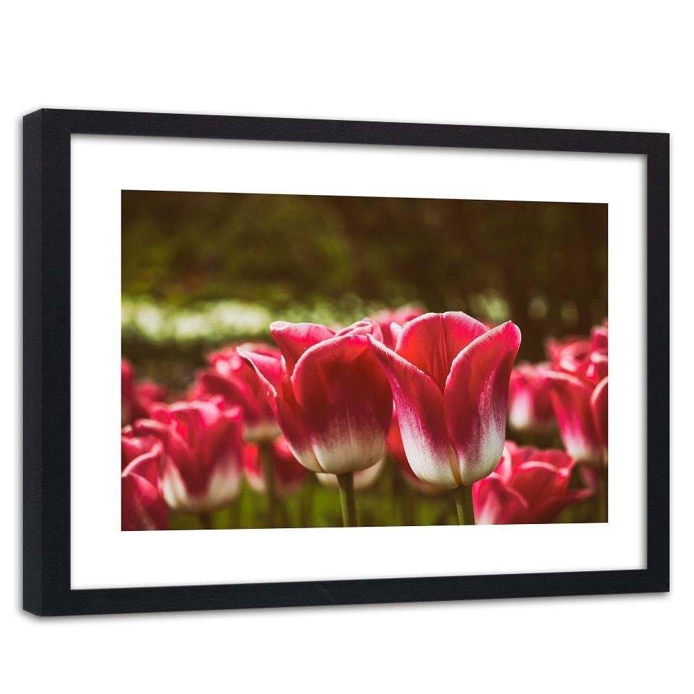 Glezna melnā rāmī - Blooming Tulip Home Trends